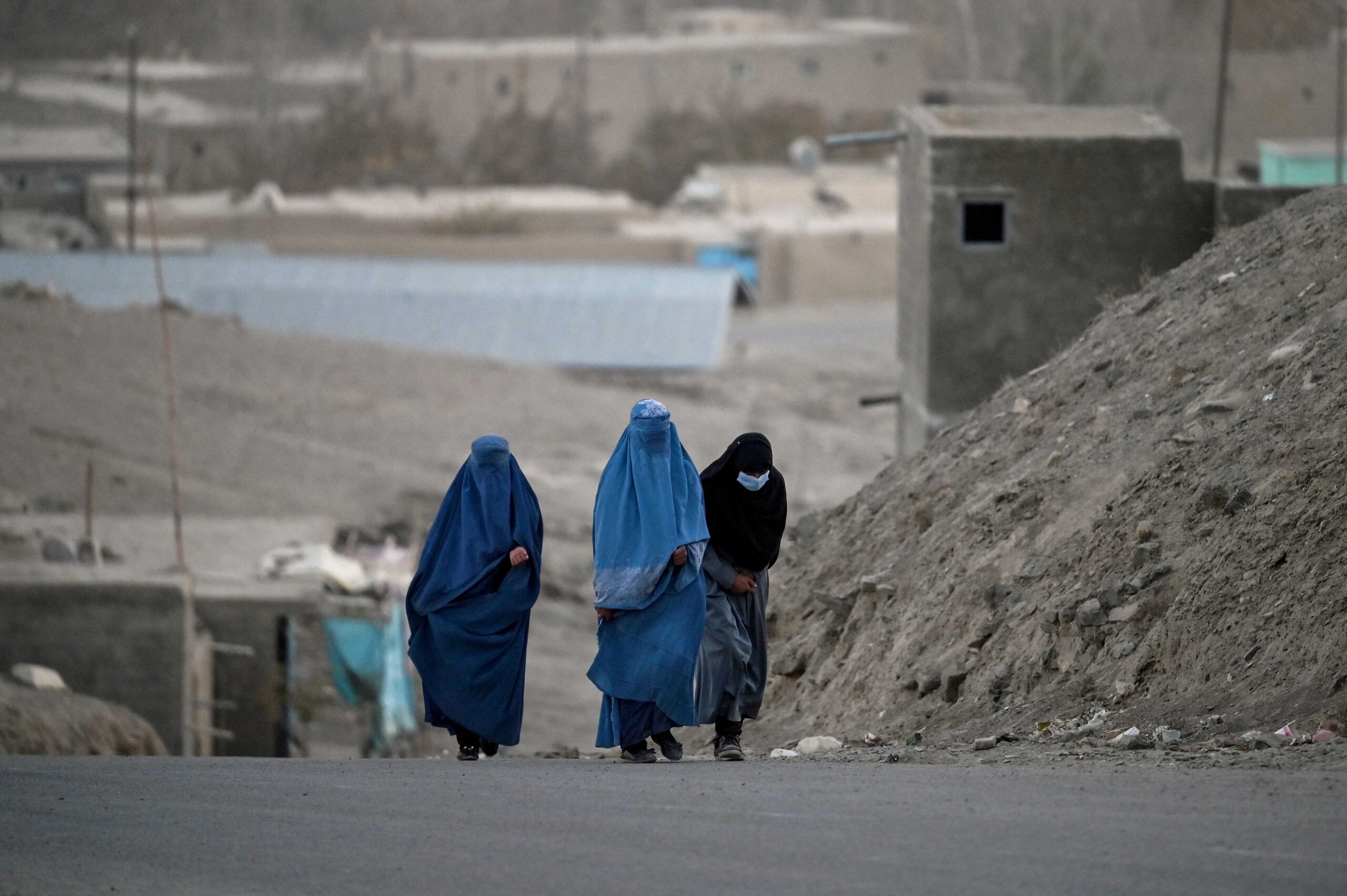 Five Years of Taliban Rule in Afghanistan and Its Impact on the Hazara Population